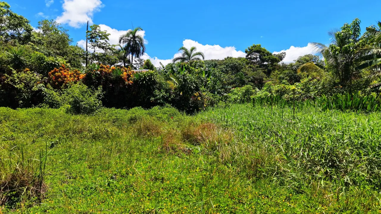 Great Residential Property Lot for sale with high Aggregated Potential in Cajon., photo 9