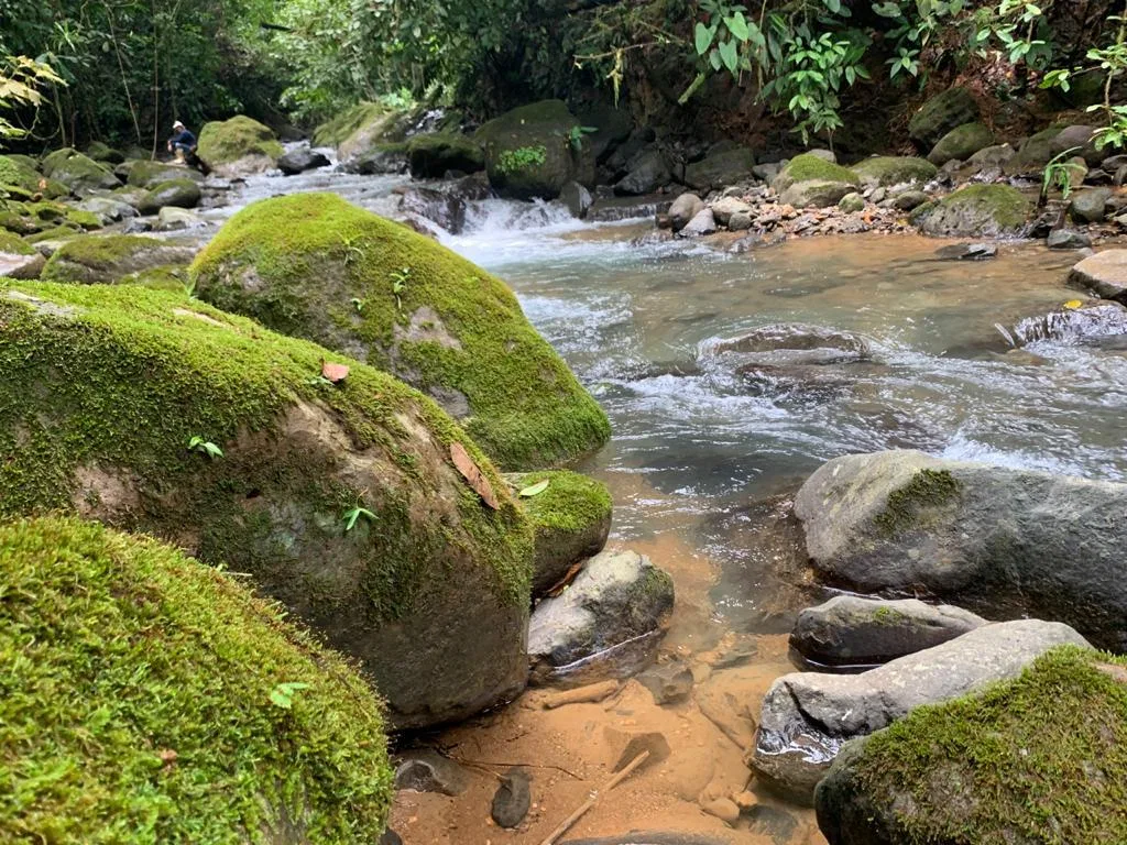 43 ACRES RIVER FRONT PROPERTY