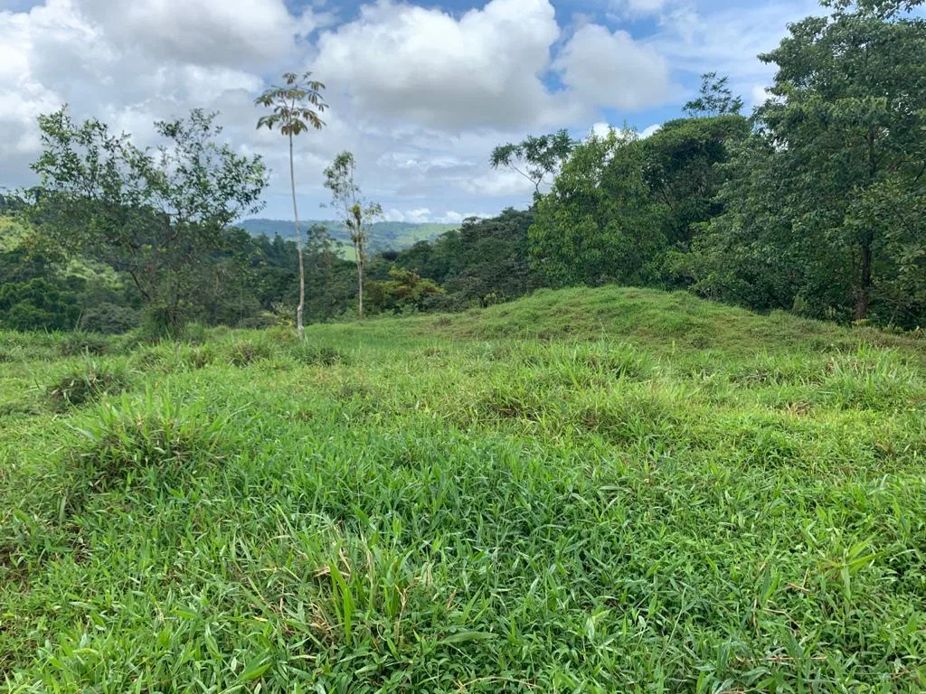 43 ACRES RIVER FRONT PROPERTY, photo 3