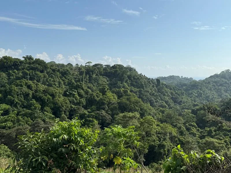 Land For Sale in Santiago, photo 2