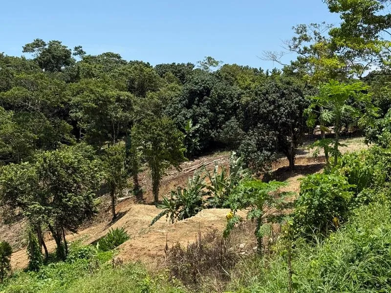 Land For Sale in Santiago, photo 3