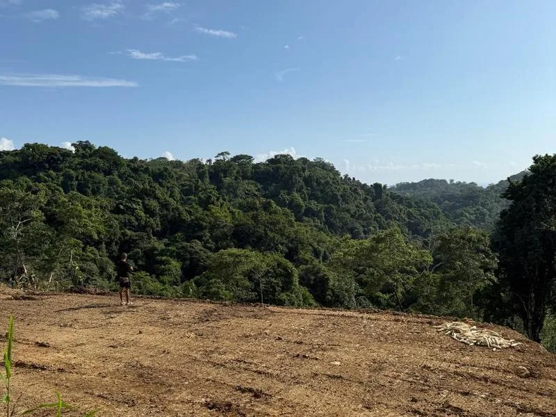 Land For Sale in Santiago, photo 4