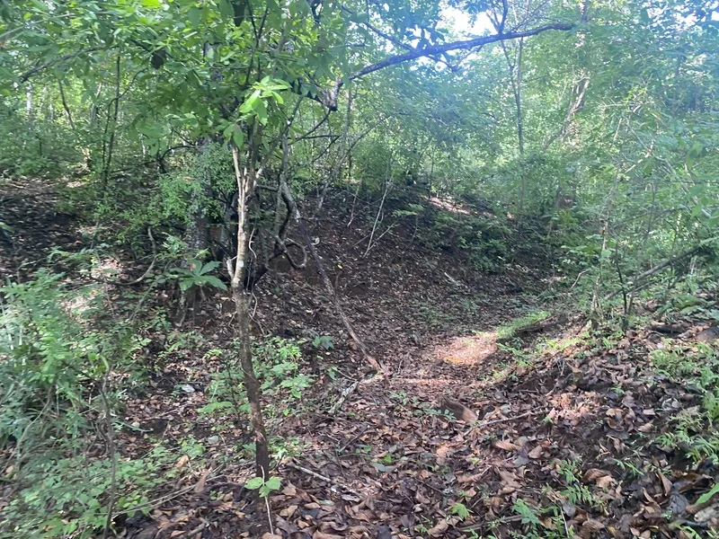 Land For Sale in Junquillal, photo 11