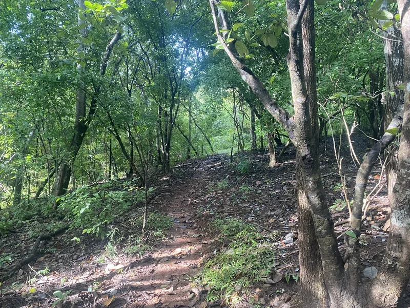 Land For Sale in Junquillal, photo 6