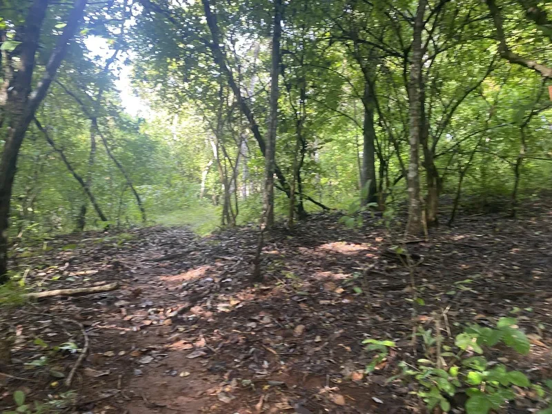 Land For Sale in Junquillal, photo 7