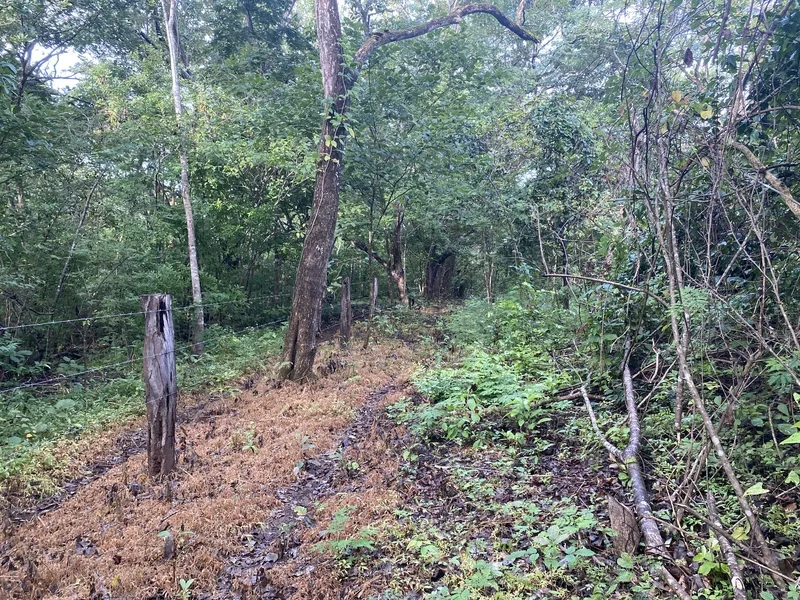 Land For Sale in Junquillal, photo 8