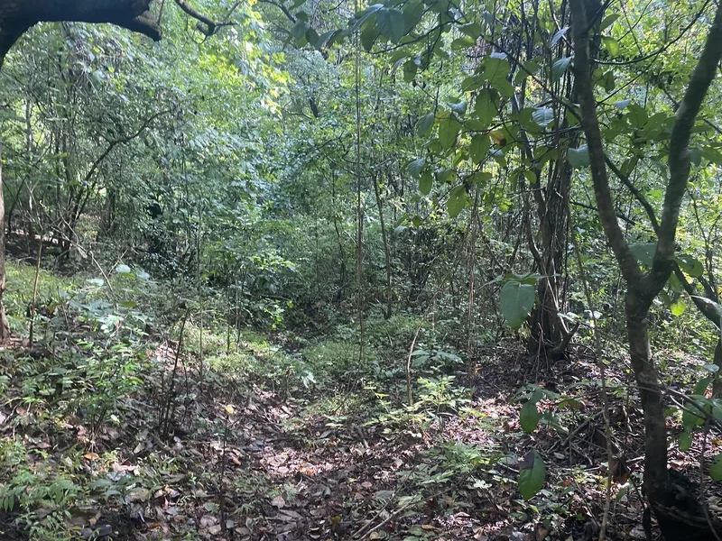Land For Sale in Junquillal, photo 9
