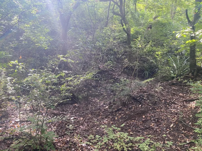 Land For Sale in Junquillal, photo 10