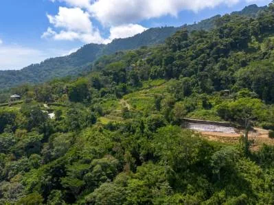 PROPERTY WITH OCEAN VIEW IN SAN JOSECITO- 2.3 ACRES, photo 25
