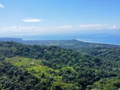PROPERTY WITH OCEAN VIEW IN SAN JOSECITO- 2.3 ACRES, photo 27