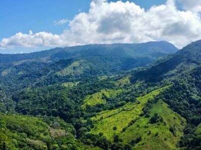 PROPERTY WITH OCEAN VIEW IN SAN JOSECITO- 2.3 ACRES, photo 28