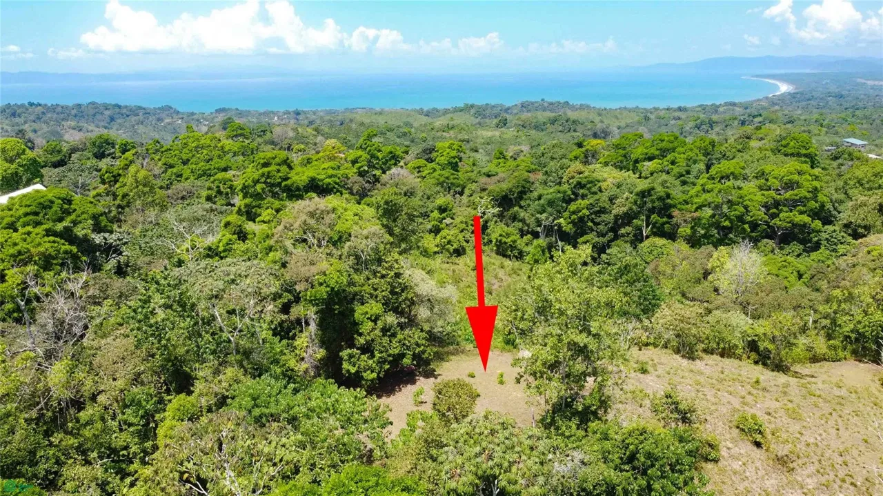 Finca Estrella, Pavon, Puntarenas 60704