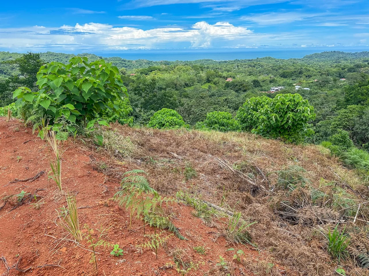 BUILDING PROPERTY WITH OCEAN VIEWS, IN OJOCHAL – 5 ACRES, photo 13