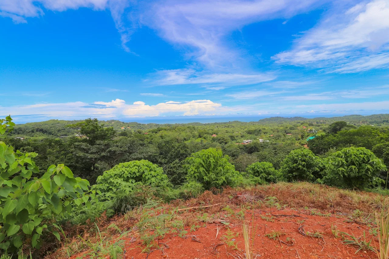 BUILDING PROPERTY WITH OCEAN VIEWS, IN OJOCHAL – 5 ACRES, photo 16