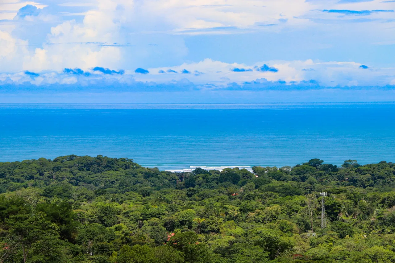 BUILDING PROPERTY WITH OCEAN VIEWS, IN OJOCHAL – 5 ACRES, photo 17