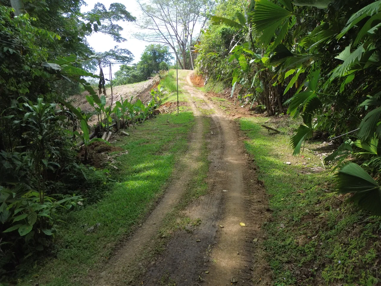 Santuario Privado en la Selva, photo 2