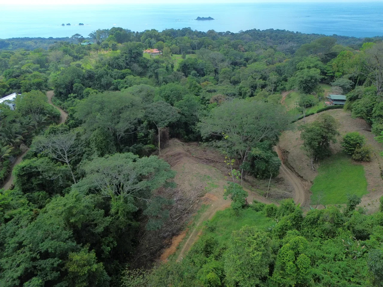 Santuario Privado en la Selva, photo 3