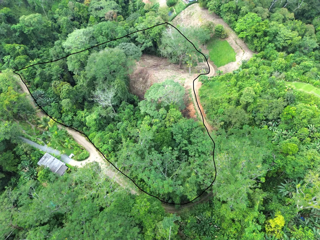 Santuario Privado en la Selva, photo 5