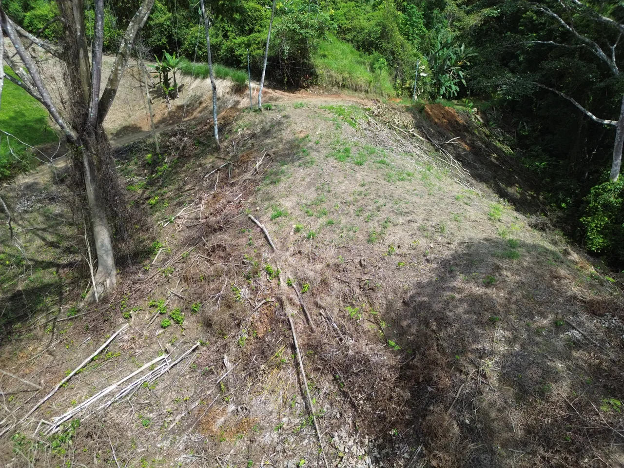 Santuario Privado en la Selva, photo 9