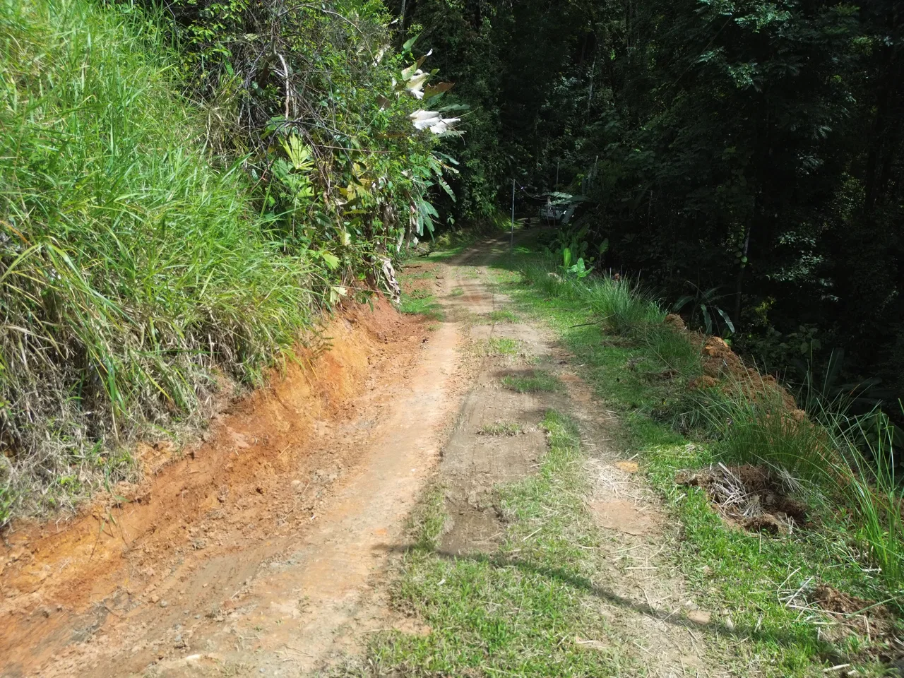 Santuario Privado en la Selva, photo 10