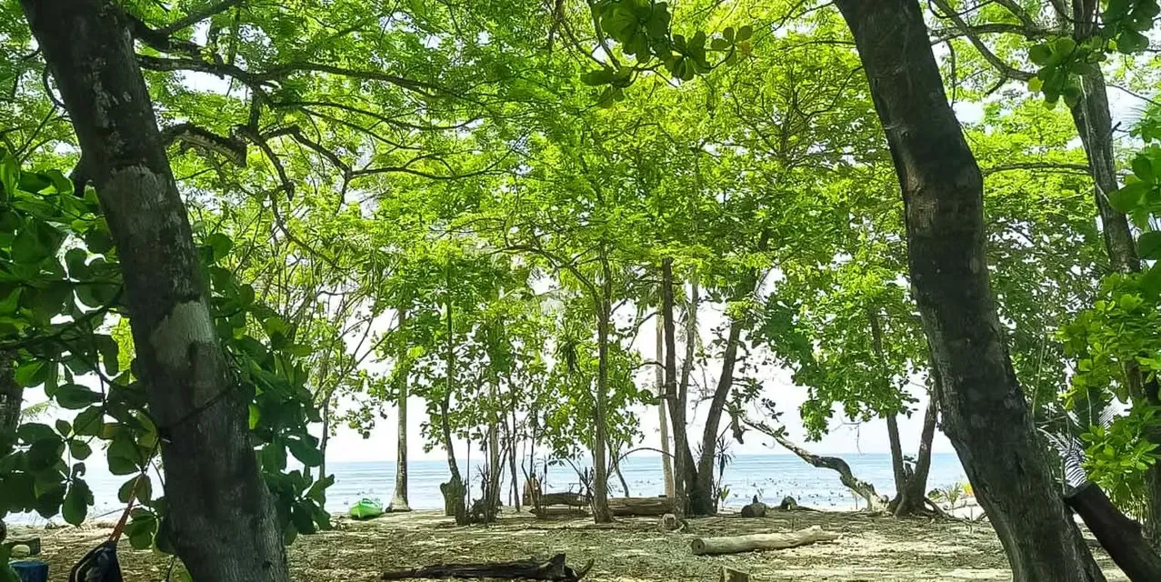 Oceanfront Lot in Santa Teresa Cabuya - Prime Concession Land - Build