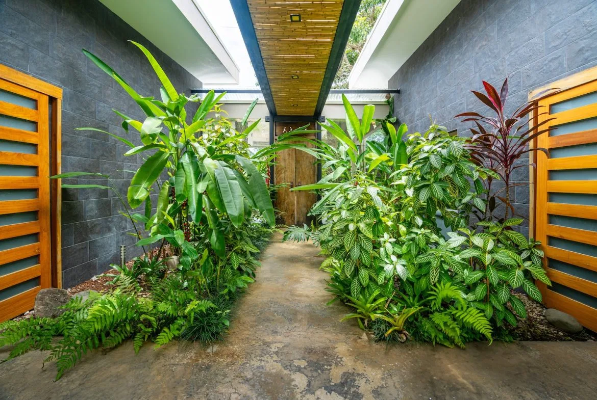 PROPERTY WITH A GUEST HOUSE, IN BAHIA BALLENA CENTER – 0.25 ACRES, photo 12