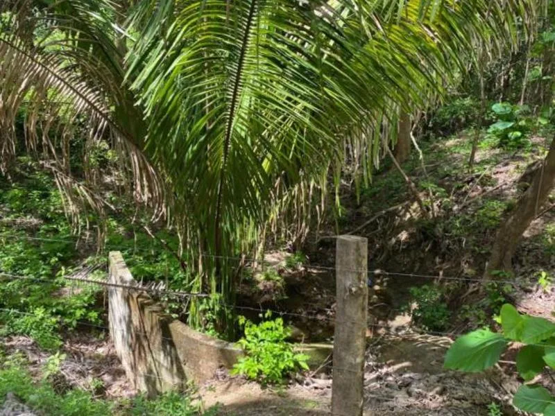 Land For Sale in Samara, photo 2