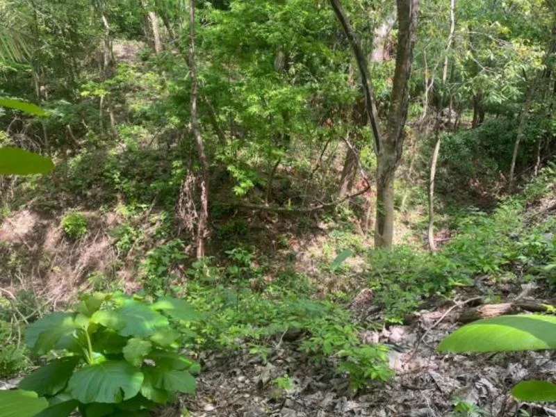 Land For Sale in Samara, photo 3