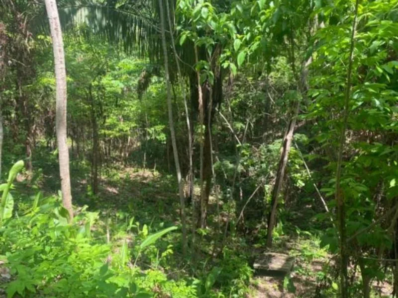 Land For Sale in Samara, photo 5