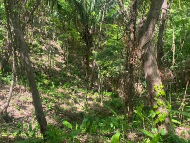 Land For Sale in Samara, photo 8
