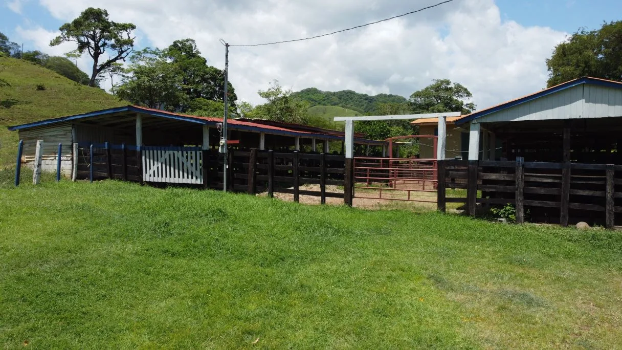 166-Hectare Cattle Ranch with Abundant Water and Complete Infrastructure in Cañas, Guanacaste – Investment Opportunity
