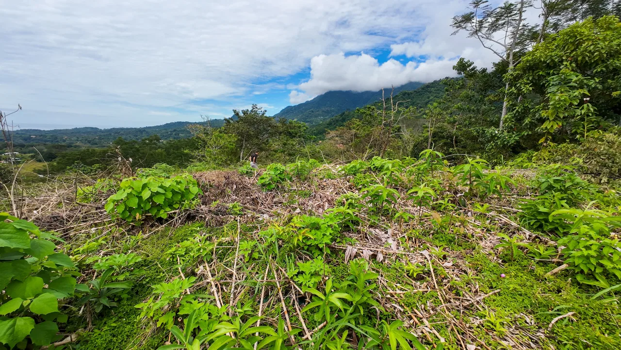 BUILDING PROPERTY WITH PARTIAL OCEAN VIEWS, IN OJOCHAL – 0.80 ACRES, photo 11