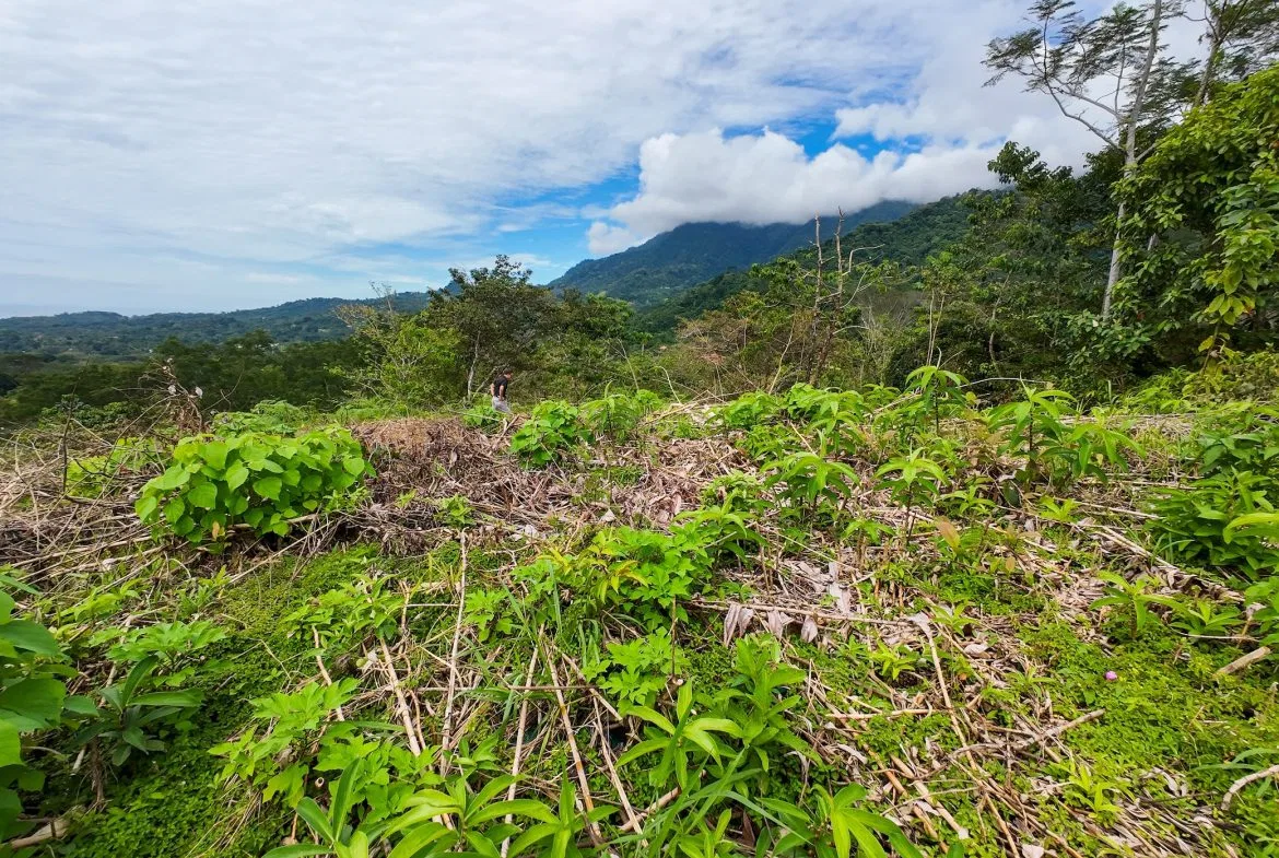 BUILDING PROPERTY WITH PARTIAL OCEAN VIEWS, IN OJOCHAL – 0.80 ACRES, photo 12
