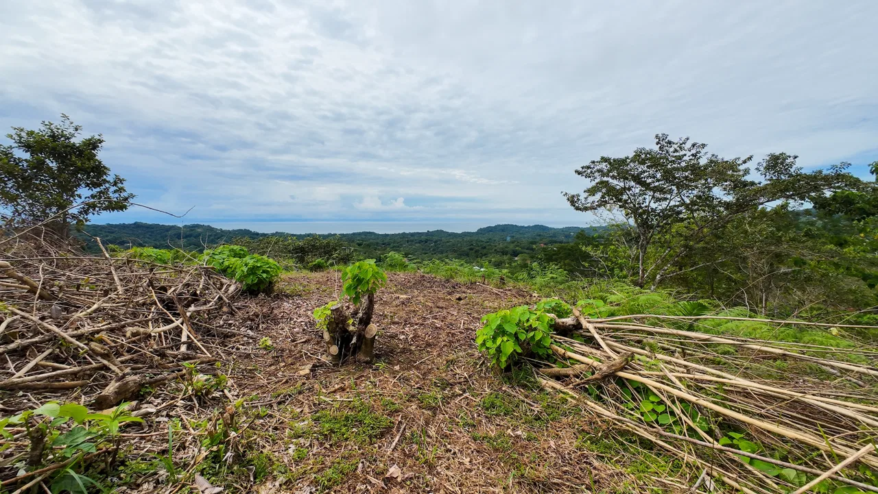 BUILDING PROPERTY WITH PARTIAL OCEAN VIEWS, IN OJOCHAL – 0.80 ACRES, photo 13