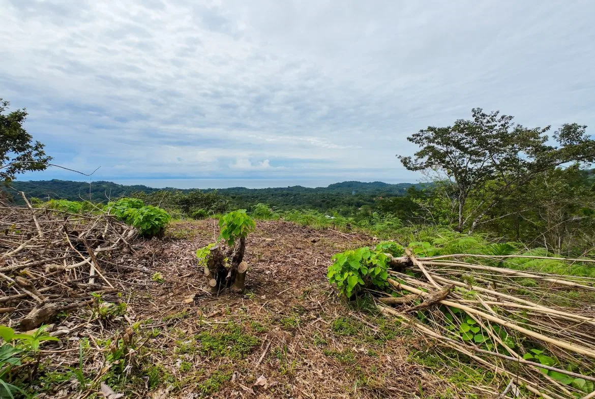 BUILDING PROPERTY WITH PARTIAL OCEAN VIEWS, IN OJOCHAL – 0.80 ACRES, photo 14