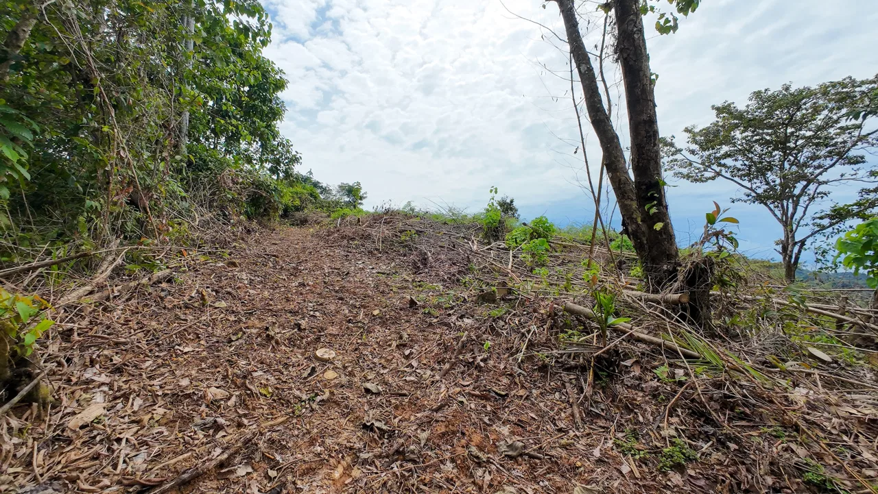 BUILDING PROPERTY WITH PARTIAL OCEAN VIEWS, IN OJOCHAL – 0.80 ACRES, photo 5