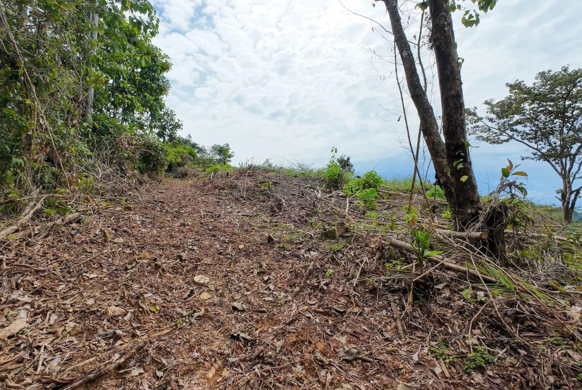 BUILDING PROPERTY WITH PARTIAL OCEAN VIEWS, IN OJOCHAL – 0.80 ACRES, photo 6