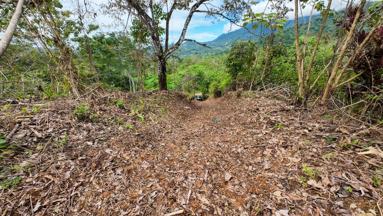 BUILDING PROPERTY WITH PARTIAL OCEAN VIEWS, IN OJOCHAL – 0.80 ACRES, photo 7