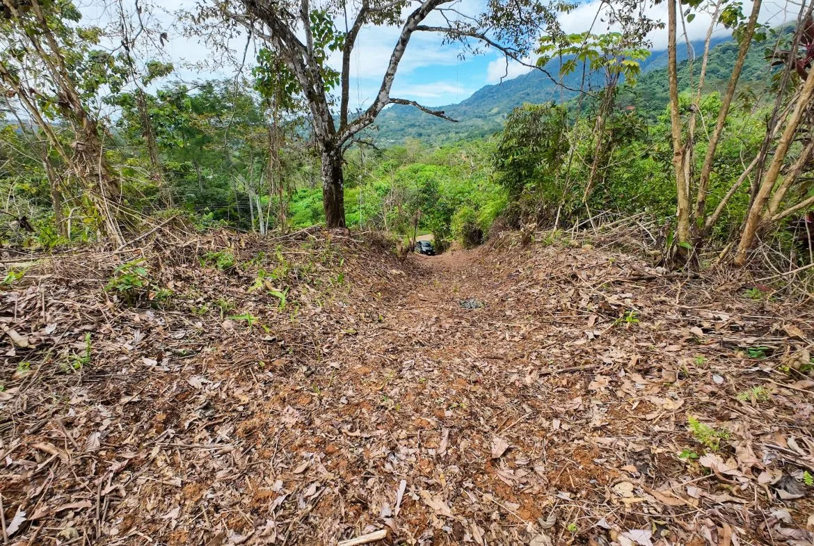 BUILDING PROPERTY WITH PARTIAL OCEAN VIEWS, IN OJOCHAL – 0.80 ACRES, photo 8