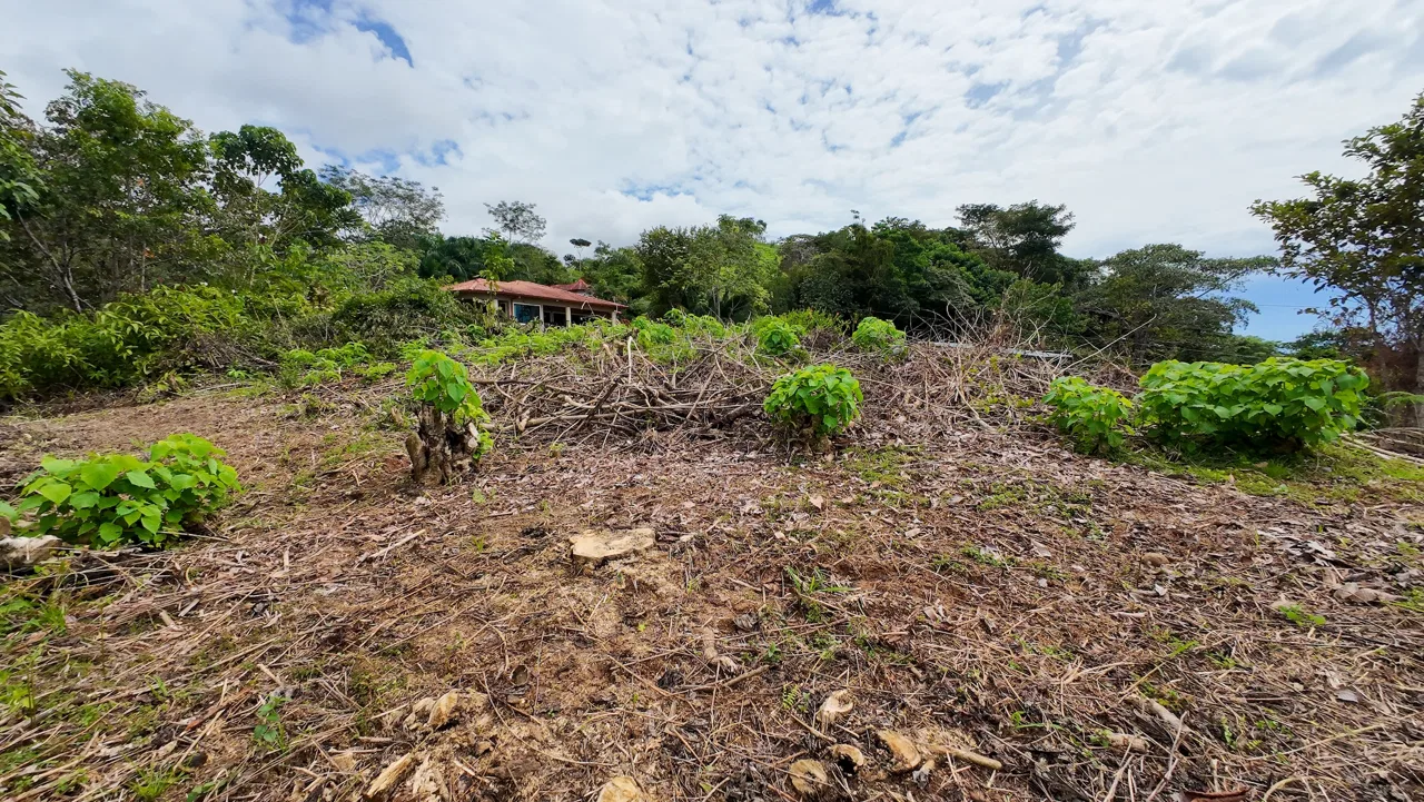 BUILDING PROPERTY WITH PARTIAL OCEAN VIEWS, IN OJOCHAL – 0.80 ACRES, photo 9