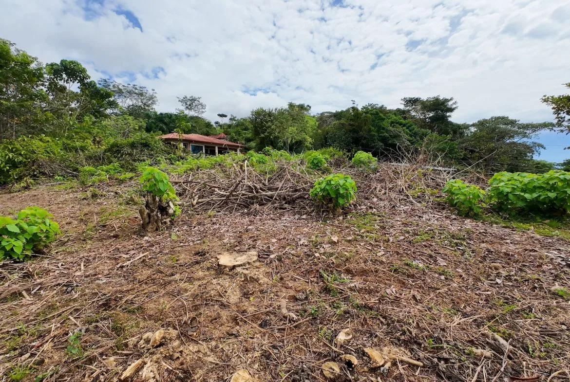 BUILDING PROPERTY WITH PARTIAL OCEAN VIEWS, IN OJOCHAL – 0.80 ACRES, photo 10