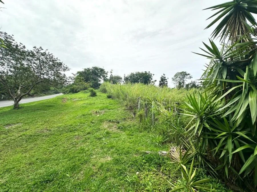 MLS-24-1734 LS VENTA TERRENO SAN PABLO HEREDIA - Venta en SAN PABLO HEREDIA, photo 5