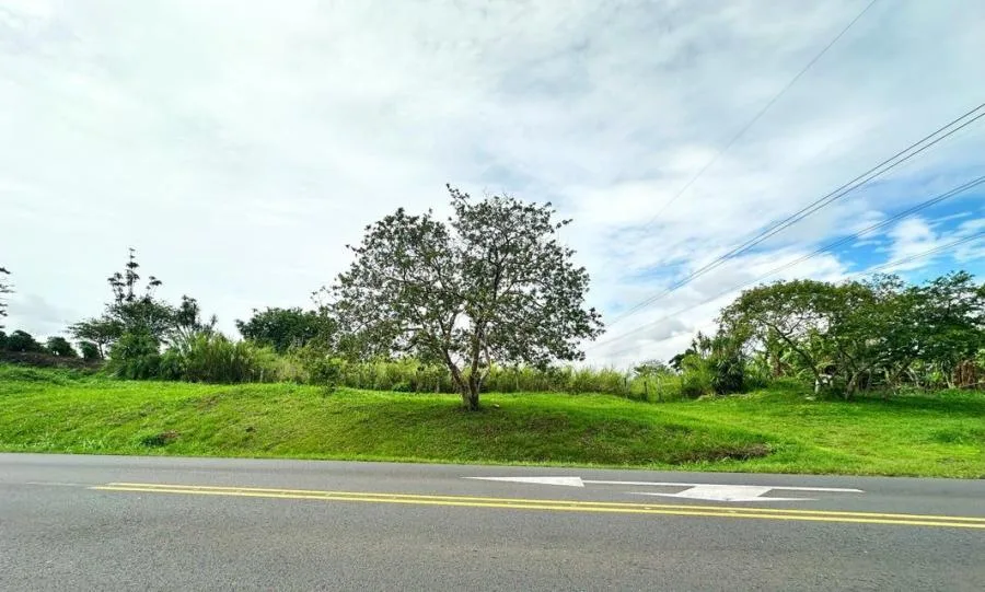 MLS-24-1734 LS VENTA TERRENO SAN PABLO HEREDIA - Venta en SAN PABLO HEREDIA, photo 6
