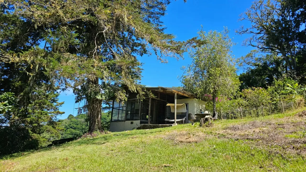 Excelente oportunidad para adquirir una propiedad de 9.950 m², ubicada en una zona tranquila de Tarbaca, Aserrí, cerca del Hotel Alta Vista y rodeada de naturaleza.