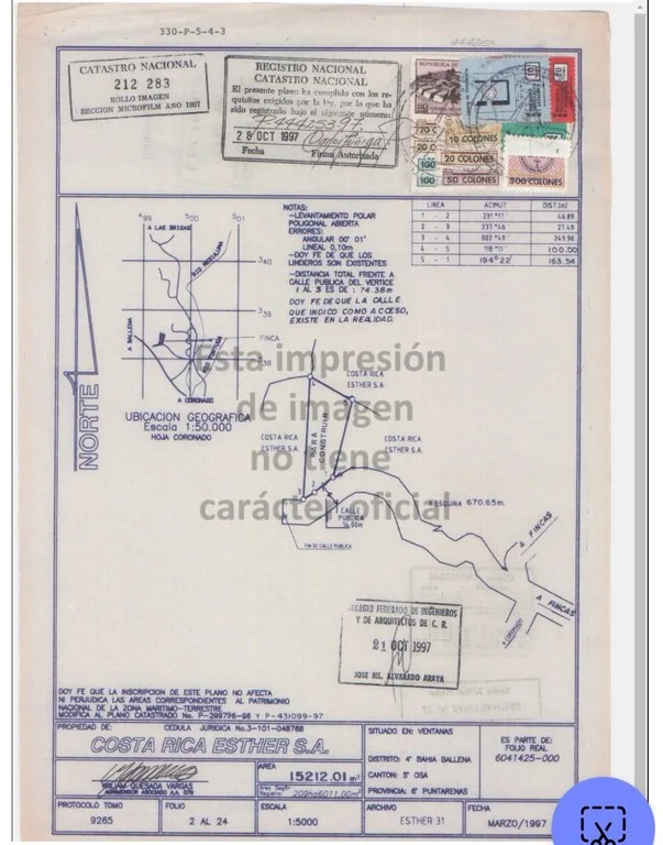 3.75-Acre Jungle Lot with Creek in Ventanas de Osa, Puntarenas, photo 3