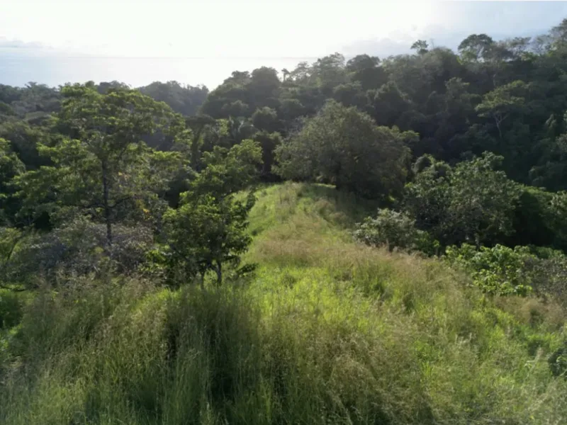 Land For Sale in Delicias, photo 2