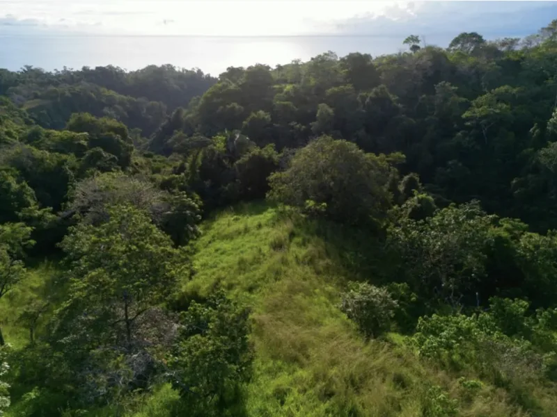 Land For Sale in Delicias, photo 3