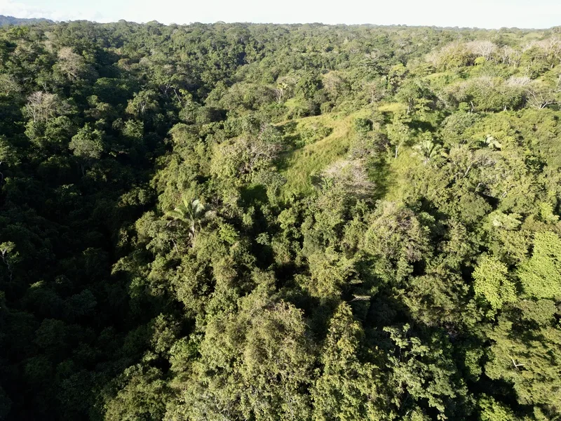 Land For Sale in Delicias, photo 4