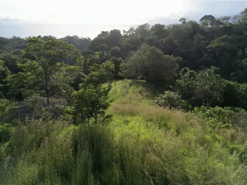 Land For Sale in Delicias, photo 5