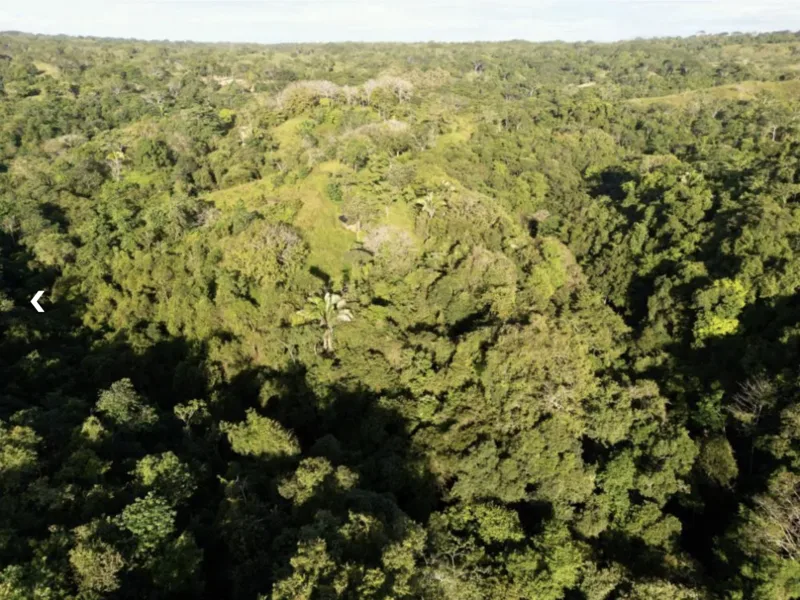 Land For Sale in Delicias, photo 6